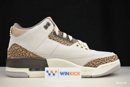 Jordan Air 3 CT8532-102 "Palomino" 1019